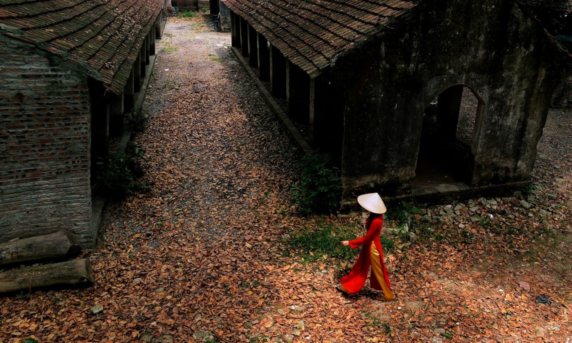 Friends of Vietnam Heritage